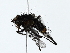  ( - BIOUG70309-B12)  @11 [ ] CreativeCommons - Attribution (2022) CBG Photography Group Centre for Biodiversity Genomics