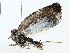  ( - BIOUG70309-D10)  @11 [ ] CreativeCommons - Attribution (2022) CBG Photography Group Centre for Biodiversity Genomics