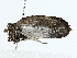  ( - BIOUG70309-D11)  @11 [ ] CreativeCommons - Attribution (2022) CBG Photography Group Centre for Biodiversity Genomics