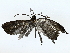 ( - BIOUG70309-E11)  @11 [ ] CreativeCommons - Attribution (2022) CBG Photography Group Centre for Biodiversity Genomics