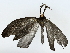  ( - BIOUG70309-E12)  @11 [ ] CreativeCommons - Attribution (2022) CBG Photography Group Centre for Biodiversity Genomics