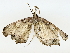  ( - BIOUG70309-F02)  @11 [ ] CreativeCommons - Attribution (2022) CBG Photography Group Centre for Biodiversity Genomics