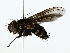  ( - BIOUG70309-H08)  @11 [ ] CreativeCommons - Attribution (2022) CBG Photography Group Centre for Biodiversity Genomics