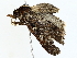  ( - BIOUG70310-B03)  @11 [ ] CreativeCommons - Attribution (2022) CBG Photography Group Centre for Biodiversity Genomics