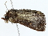  ( - BIOUG70310-B04)  @11 [ ] CreativeCommons - Attribution (2022) CBG Photography Group Centre for Biodiversity Genomics