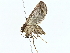  ( - BIOUG70310-B05)  @11 [ ] CreativeCommons - Attribution (2022) CBG Photography Group Centre for Biodiversity Genomics