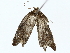  ( - BIOUG70310-C11)  @11 [ ] CreativeCommons - Attribution (2022) CBG Photography Group Centre for Biodiversity Genomics