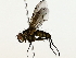  ( - BIOUG70310-F01)  @11 [ ] CreativeCommons - Attribution (2022) CBG Photography Group Centre for Biodiversity Genomics
