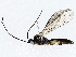  ( - BIOUG72943-B02)  @11 [ ] CreativeCommons - Attribution (2022) CBG Photography Group Centre for Biodiversity Genomics