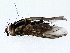  ( - BIOUG72943-B09)  @11 [ ] CreativeCommons - Attribution (2022) CBG Photography Group Centre for Biodiversity Genomics