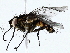  ( - BIOUG72943-C06)  @11 [ ] CreativeCommons - Attribution (2022) CBG Photography Group Centre for Biodiversity Genomics