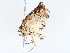  ( - BIOUG72943-D05)  @11 [ ] CreativeCommons - Attribution (2022) CBG Photography Group Centre for Biodiversity Genomics