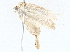  ( - BIOUG72944-A07)  @11 [ ] CreativeCommons - Attribution (2022) CBG Photography Group Centre for Biodiversity Genomics