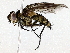  ( - BIOUG72944-H07)  @11 [ ] CreativeCommons - Attribution (2022) CBG Photography Group Centre for Biodiversity Genomics