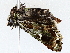  ( - BIOUG72945-B02)  @11 [ ] CreativeCommons - Attribution (2022) CBG Photography Group Centre for Biodiversity Genomics