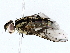  ( - BIOUG76539-A10)  @11 [ ] CreativeCommons - Attribution (2022) CBG Photography Group Centre for Biodiversity Genomics