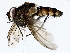  ( - BIOUG76540-E03)  @11 [ ] CreativeCommons - Attribution (2022) CBG Photography Group Centre for Biodiversity Genomics