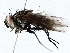  ( - BIOUG76540-E04)  @11 [ ] CreativeCommons - Attribution (2022) CBG Photography Group Centre for Biodiversity Genomics