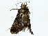  ( - BIOUG77727-E05)  @11 [ ] CreativeCommons - Attribution (2022) CBG Photography Group Centre for Biodiversity Genomics