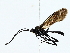  ( - BIOUG77727-F07)  @11 [ ] CreativeCommons - Attribution (2022) CBG Photography Group Centre for Biodiversity Genomics