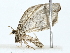  ( - BIOUG77727-G09)  @11 [ ] CreativeCommons - Attribution (2022) CBG Photography Group Centre for Biodiversity Genomics