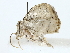  ( - BIOUG77727-G10)  @11 [ ] CreativeCommons - Attribution (2022) CBG Photography Group Centre for Biodiversity Genomics