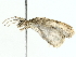  ( - BIOUG77728-B02)  @11 [ ] CreativeCommons - Attribution (2022) CBG Photography Group Centre for Biodiversity Genomics