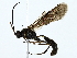  ( - BIOUG77729-G10)  @11 [ ] CreativeCommons - Attribution (2022) CBG Photography Group Centre for Biodiversity Genomics