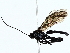  ( - BIOUG77730-C05)  @11 [ ] CreativeCommons - Attribution (2022) CBG Photography Group Centre for Biodiversity Genomics