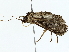  ( - BIOUG77730-D04)  @11 [ ] CreativeCommons - Attribution (2022) CBG Photography Group Centre for Biodiversity Genomics