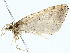  ( - BIOUG77730-E07)  @11 [ ] CreativeCommons - Attribution (2022) CBG Photography Group Centre for Biodiversity Genomics