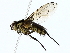  ( - BIOUG85268-D05)  @11 [ ] CreativeCommons - Attribution (2022) CBG Photography Group Centre for Biodiversity Genomics