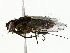  ( - BIOUG85269-A01)  @11 [ ] CreativeCommons - Attribution (2022) CBG Photography Group Centre for Biodiversity Genomics