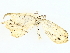  ( - BIOUG85270-A04)  @11 [ ] CreativeCommons - Attribution (2022) CBG Photography Group Centre for Biodiversity Genomics