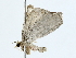  ( - BIOUG85302-F03)  @11 [ ] CreativeCommons - Attribution (2022) CBG Photography Group Centre for Biodiversity Genomics
