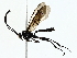  ( - BIOUG85451-B02)  @11 [ ] CreativeCommons - Attribution (2022) CBG Photography Group Centre for Biodiversity Genomics