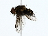  ( - BIOUG85451-F06)  @11 [ ] CreativeCommons - Attribution (2022) CBG Photography Group Centre for Biodiversity Genomics