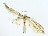  ( - BIOUG85453-E11)  @11 [ ] CreativeCommons - Attribution (2022) CBG Photography Group Centre for Biodiversity Genomics