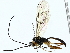  ( - BIOUG85454-A10)  @11 [ ] CreativeCommons - Attribution (2022) CBG Photography Group Centre for Biodiversity Genomics