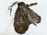  ( - BIOUG77731-F06)  @11 [ ] CreativeCommons - Attribution (2022) CBG Photography Group Centre for Biodiversity Genomics