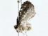  ( - BIOUG85455-G05)  @11 [ ] CreativeCommons - Attribution (2022) CBG Photography Group Centre for Biodiversity Genomics