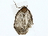  ( - BIOUG85455-G06)  @11 [ ] CreativeCommons - Attribution (2022) CBG Photography Group Centre for Biodiversity Genomics