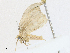  ( - CBG-A16706-A03)  @11 [ ] CreativeCommons - Attribution Share - Alike (2023) CBG Photography Group Centre for Biodiversity Genomics