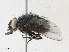  ( - CBG-A16706-E10)  @11 [ ] CreativeCommons - Attribution Share - Alike (2023) CBG Photography Group Centre for Biodiversity Genomics