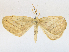  ( - CBG-A16706-G03)  @11 [ ] CreativeCommons - Attribution Share - Alike (2023) CBG Photography Group Centre for Biodiversity Genomics
