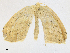  ( - CBG-A16706-G04)  @11 [ ] CreativeCommons - Attribution Share - Alike (2023) CBG Photography Group Centre for Biodiversity Genomics