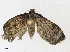  ( - CBG-A16707-A12)  @11 [ ] CreativeCommons - Attribution Share - Alike (2023) CBG Photography Group Centre for Biodiversity Genomics