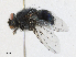  ( - CBG-A16707-C01)  @11 [ ] CreativeCommons - Attribution Share - Alike (2023) CBG Photography Group Centre for Biodiversity Genomics