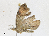  ( - CBG-A16707-C05)  @11 [ ] CreativeCommons - Attribution Share - Alike (2023) CBG Photography Group Centre for Biodiversity Genomics