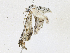  ( - CBG-A16707-C06)  @11 [ ] CreativeCommons - Attribution Share - Alike (2023) CBG Photography Group Centre for Biodiversity Genomics